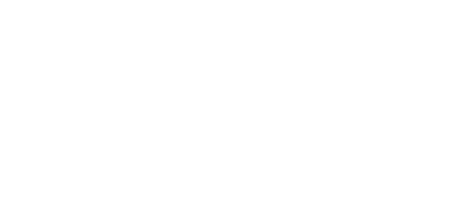 The Global Note